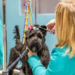dog-groomer-corporate-photography-006