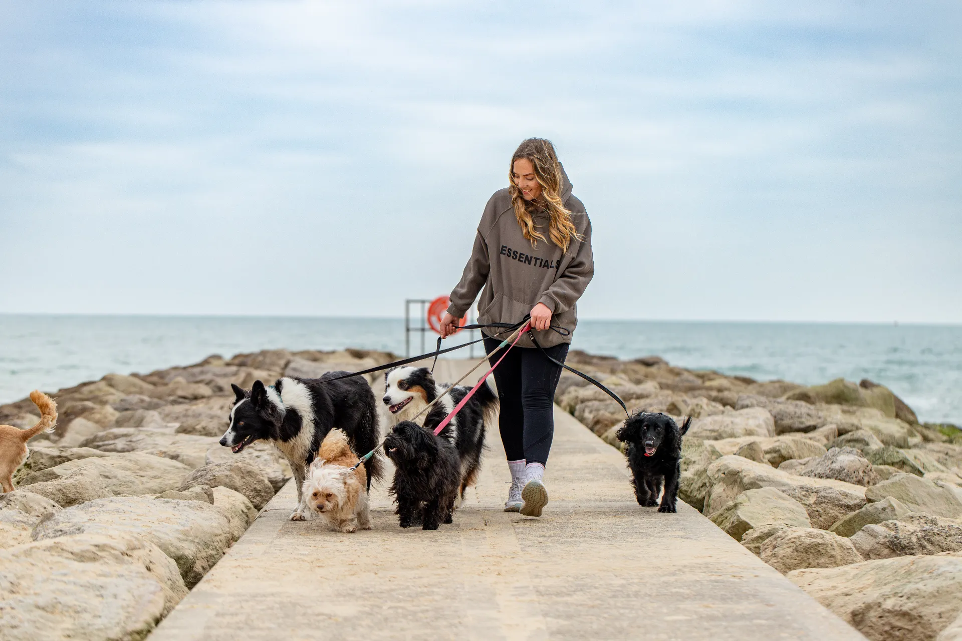 out-and-about-dog-walking-008